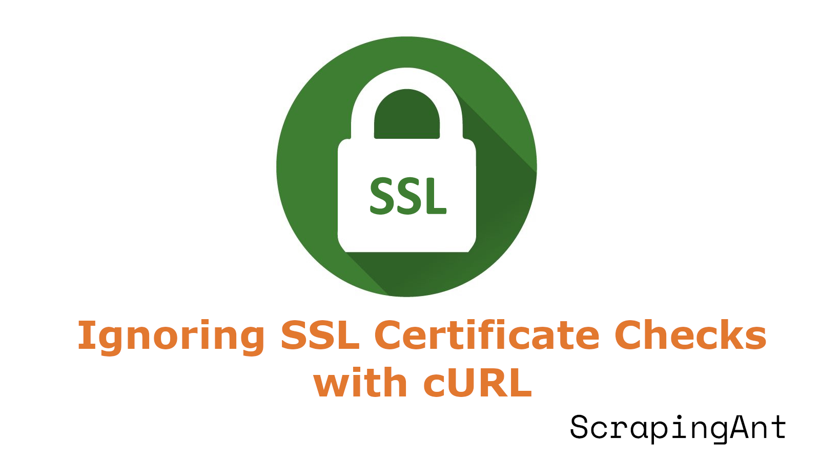 How to Ignore SSL Certificate With cURL