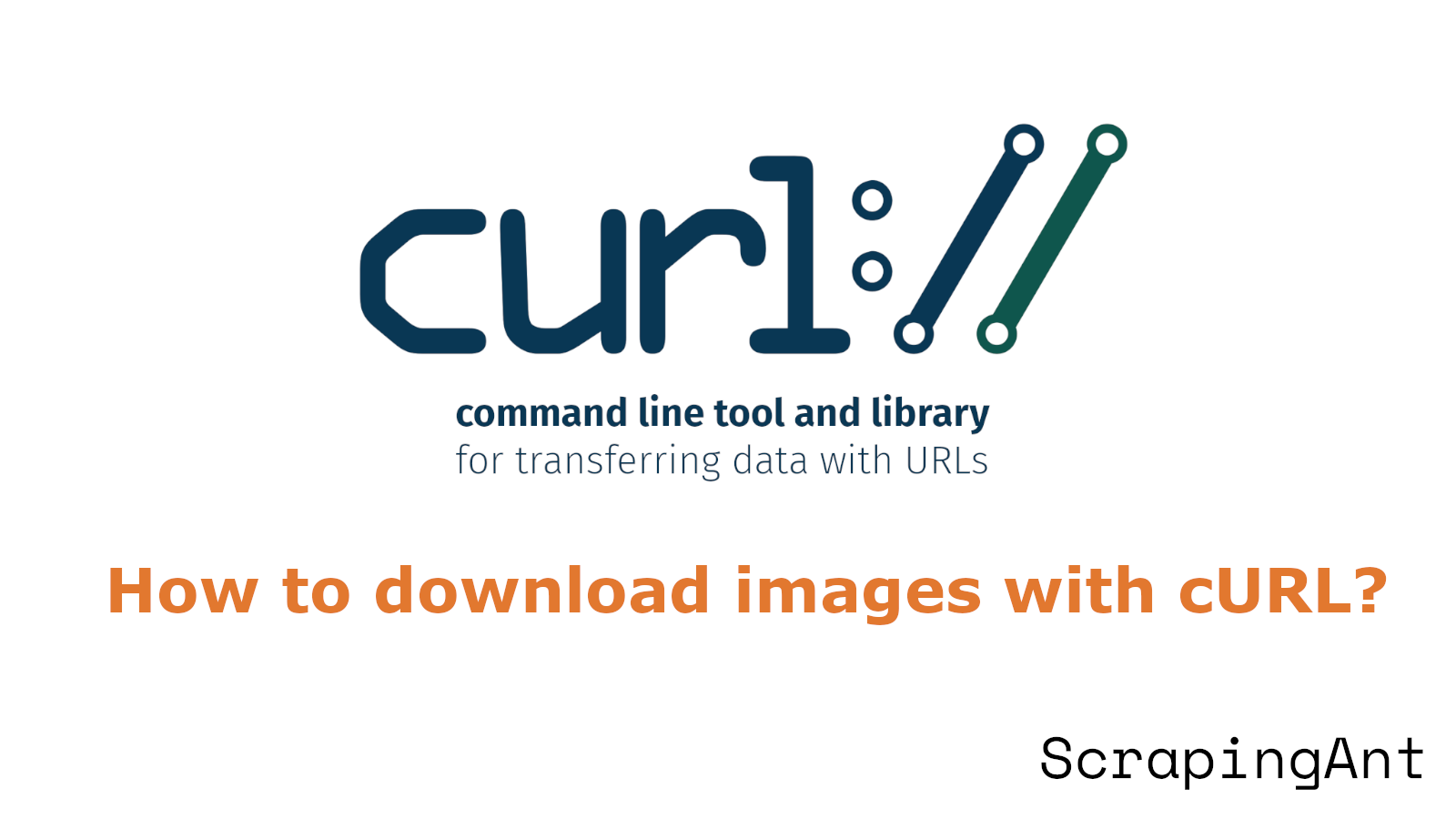 How to download images with cURL?