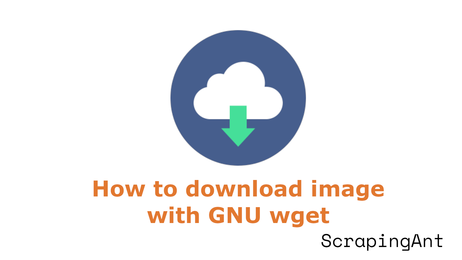 How to download images with wget