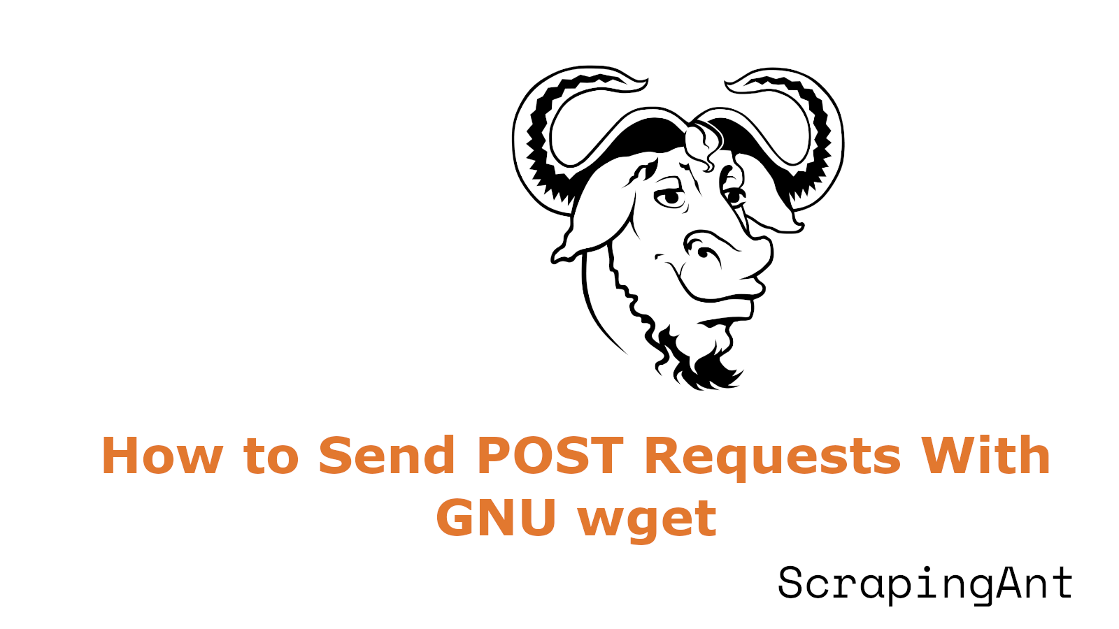 How to Send POST Requests With wget