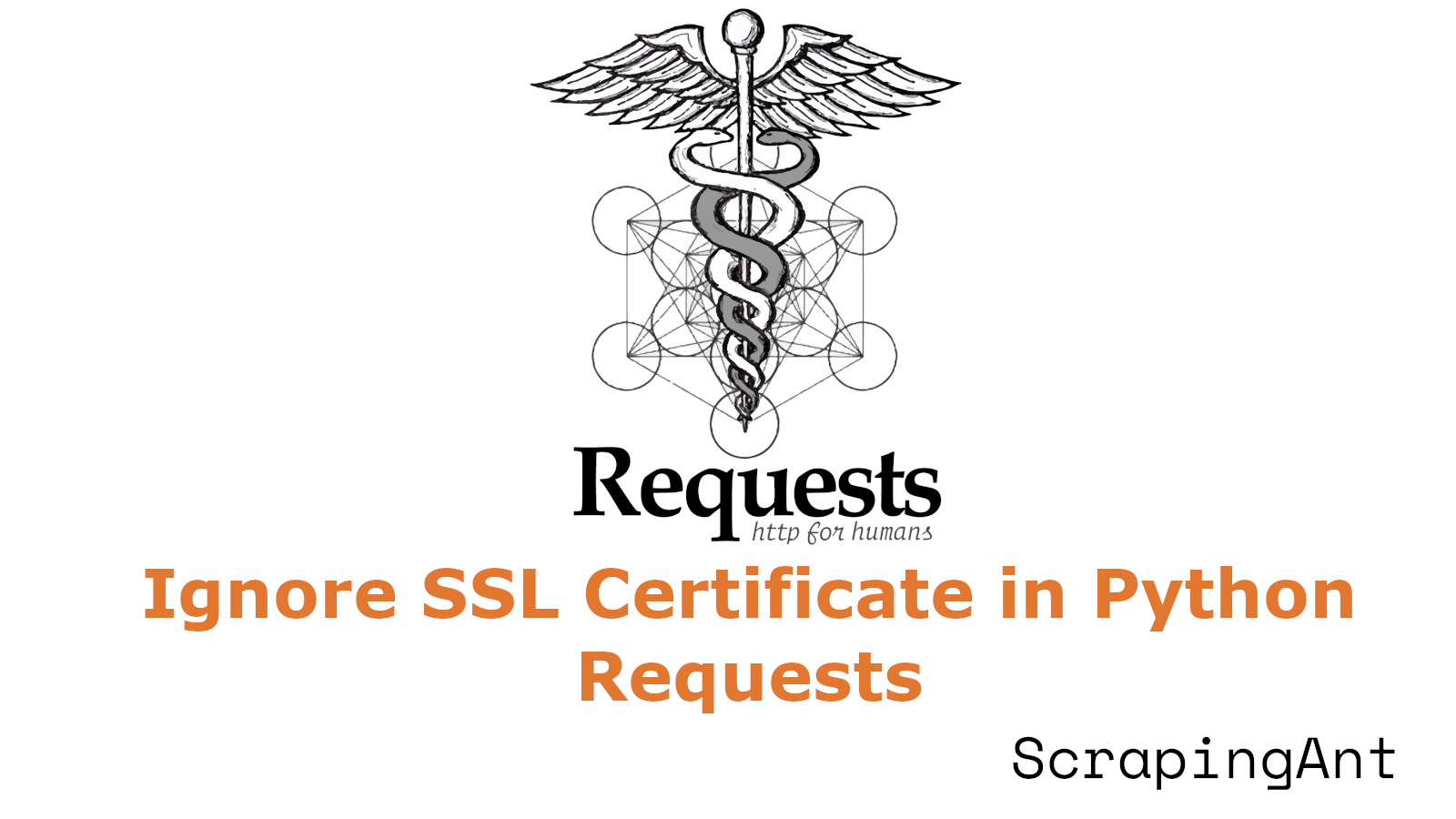 How to Ignore SSL Certificate in Python Requests Library ScrapingAnt