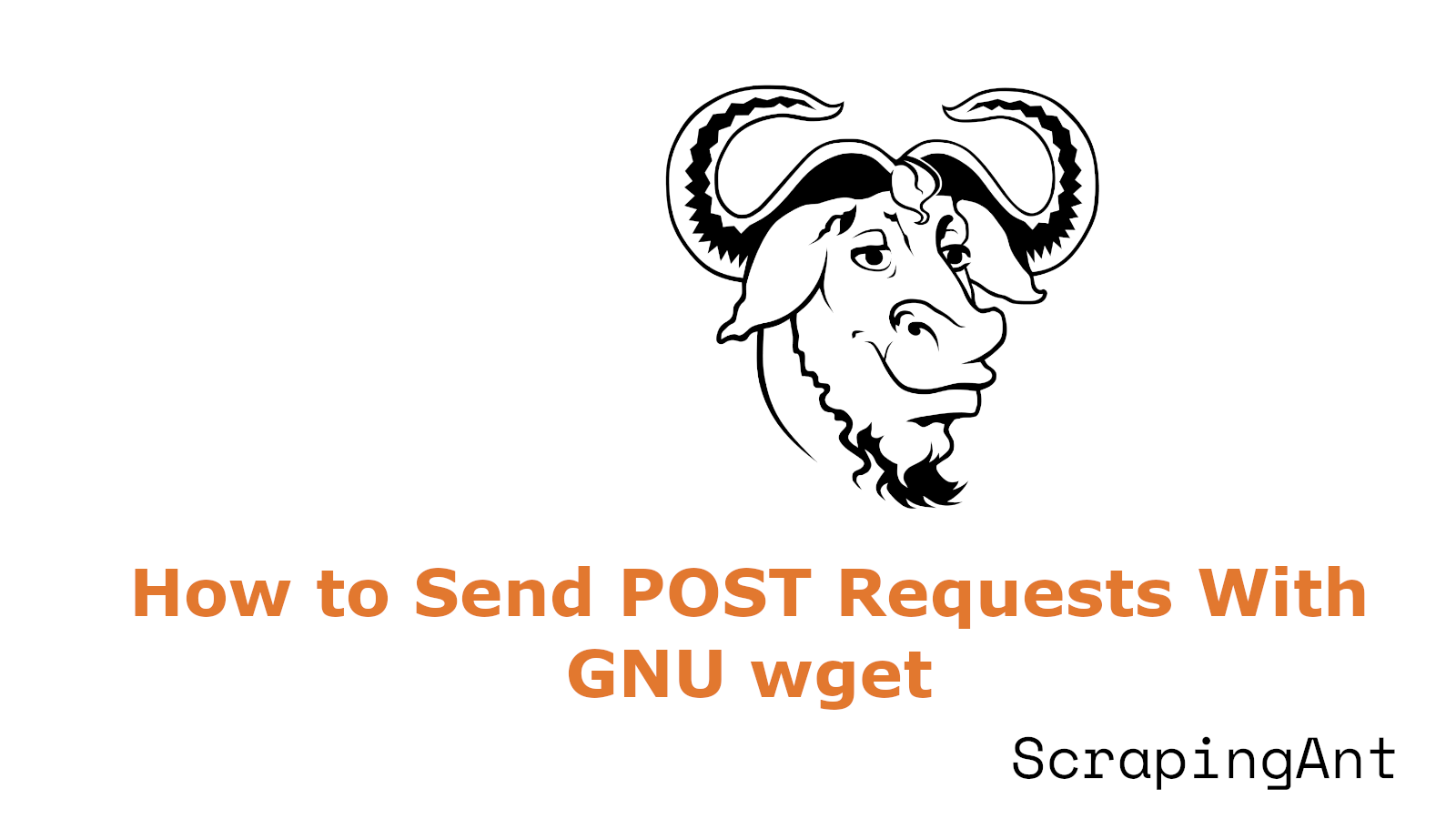 How to Send POST Requests With Wget ScrapingAnt